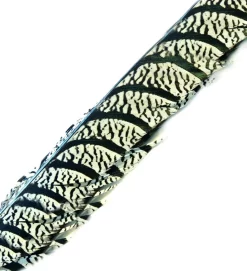 Amherst Pheasant Tail Veniard