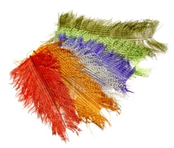 Barred Short Ostrich Veniard