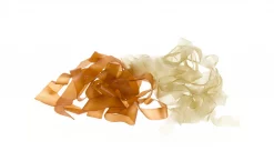 Jiří Klíma Body Stretch Jiri Klima