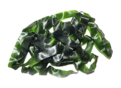 Tommi-Fly Body Stretch Tommy-Fly -Tools Shop body stretch tommy fly dark green.p.271091