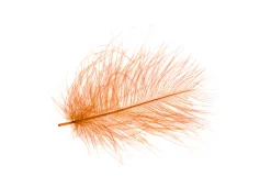 CDC Feathers Hends -Tools Shop cdc feathers hends natura grey