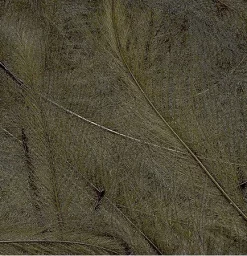 CDC Feathers Tommi-Fly 92 CDC Feathers Tommi-Fly -Tools Shop cdc feathers marc petitjean bulk pack 1g.p.269635 5