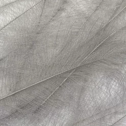 CDC Feathers Hends -Tools Shop cdc feathers marc petitjean bulk pack 1g.p.269636 1