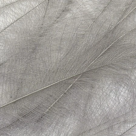 CDC Feathers Veniard Super Select 38 CDC Feathers Veniard Super Select - Image 38