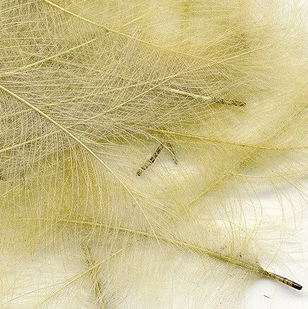 CDC Feathers Veniard Super Select 39 CDC Feathers Veniard Super Select - Image 39