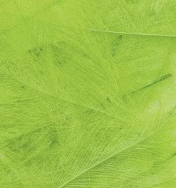 CDC Feathers Tommi-Fly 134 CDC Feathers Tommi-Fly -Tools Shop cdc feathers marc petitjean bulk pack 1g.p.269640 6