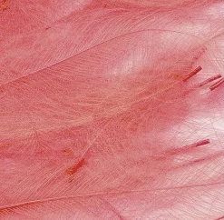 CDC Feathers Veniard Bulk Pack 1g -Tools Shop cdc feathers marc petitjean bulk pack 1g.p.269641 8