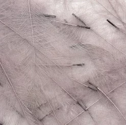 CDC Feathers Veniard Super Select 78 CDC Feathers Veniard Super Select -Tools Shop cdc feathers marc petitjean bulk pack 1g.p.269642 3