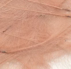 Polishquills CDC Feathers Polish Quills -Tools Shop cdc feathers marc petitjean bulk pack 1g.p.269645 10