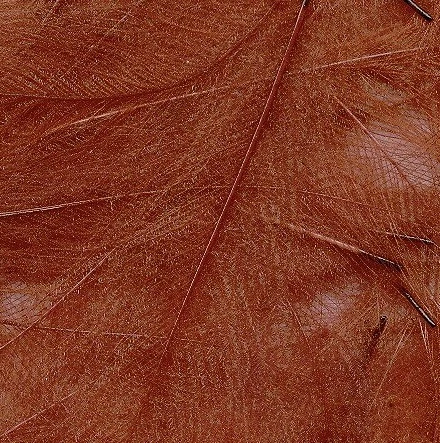 CDC Feathers Veniard Super Select 48 CDC Feathers Veniard Super Select - Image 48