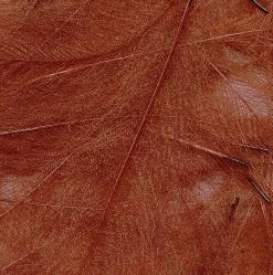 CDC Feathers Tommi-Fly 140 CDC Feathers Tommi-Fly -Tools Shop cdc feathers marc petitjean bulk pack 1g.p.269646 6