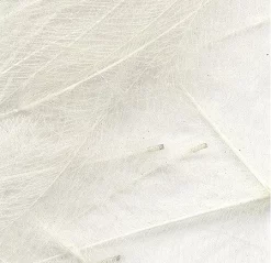 Polishquills CDC Feathers Polish Quills -Tools Shop cdc feathers marc petitjean bulk pack 1g.p.269647 9