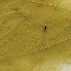 CDC Feathers Veniard Super Select 118 CDC Feathers Veniard Super Select -Tools Shop cdc feathers marc petitjean bulk pack 1g.p.269648 4