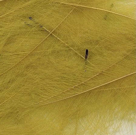 CDC Feathers Tommi-Fly 34 CDC Feathers Tommi-Fly - Image 34