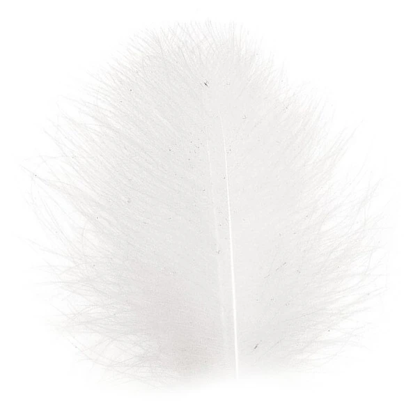 CDC Feathers Tommi-Fly 2 CDC Feathers Tommi-Fly - Image 2
