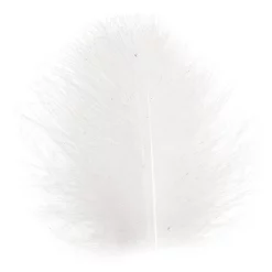 Polishquills Selected CDC Polish Quills 50 Pcs Dark Natural -Tools Shop cdc feathers polish quills.p.269656 6