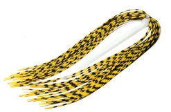 Centipede Rubber Legs Barred Veniard