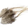 Coq De Leon Feathers Tommi-Fly