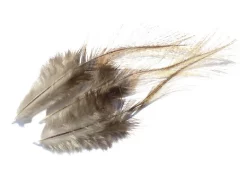 Coq De Leon Feathers Tommi-Fly