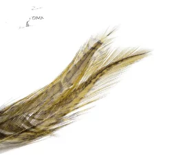 Coq De Leon Feathers Tommi-Fly 6 Coq De Leon Feathers Tommi-Fly -Tools Shop coq de leon feathers tommi fly natural.p.270311