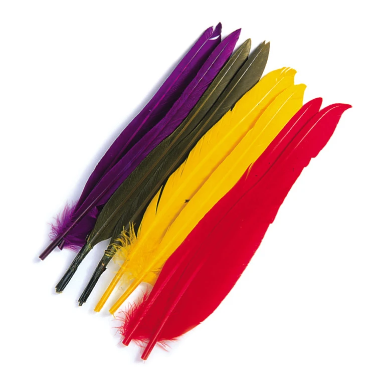 Duck Quills Veniard 1 Duck Quills Veniard