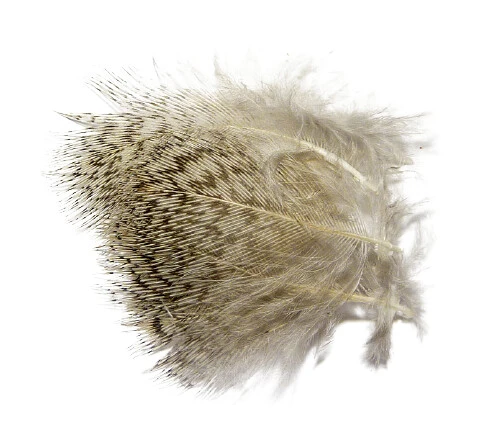 English Partridge Tommi-Fly Grizzly Plumage 1 English Partridge Tommi-Fly Grizzly Plumage