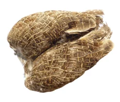 English Partridge Tommi-Fly Whole Wings