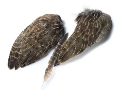 English Partridge Veniard Whole Wings