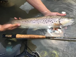 Fly Rod Guideline LPs Euro Nymphing -Tools Shop fly rod guideline lps euro nymphing.4