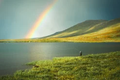 Fly Rod Guideline LPX Tactical -Tools Shop fly rod guideline lpx tactical.18