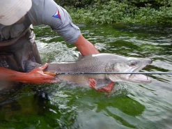 Fly Rod Hanak Competition Alpen Nymph 4 In 1 -Tools Shop fly rod hanak competition alpen nymph 4 in 1.2