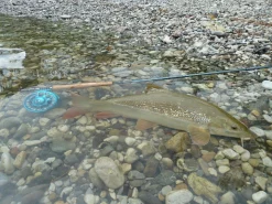 Fly Rod Hanak Competition Alpen Nymph 4 In 1 -Tools Shop fly rod hanak competition alpen nymph 4 in 1.3