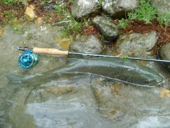 Fly Rod Hanak Competition Alpen Nymph 4 In 1 -Tools Shop fly rod hanak competition alpen nymph 4 in 1.4