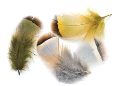 French Partridge Veniard Mixed Hackles