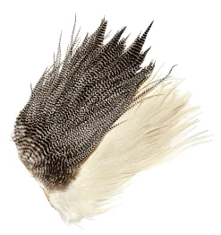 Genetic Cock Saddles Veniard Grade 2