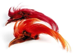 Golden Pheasant Veniard Topping Crest