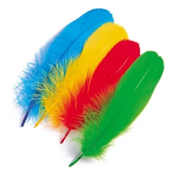 Goose Shoulder Soft Feathers Veniard