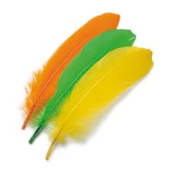 Goose Shoulder Stiffs Feathers Veniard