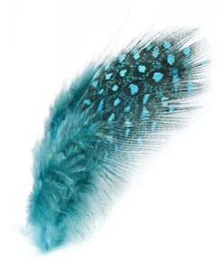 Guinea Fowl Veniard Plumage Hackles Small