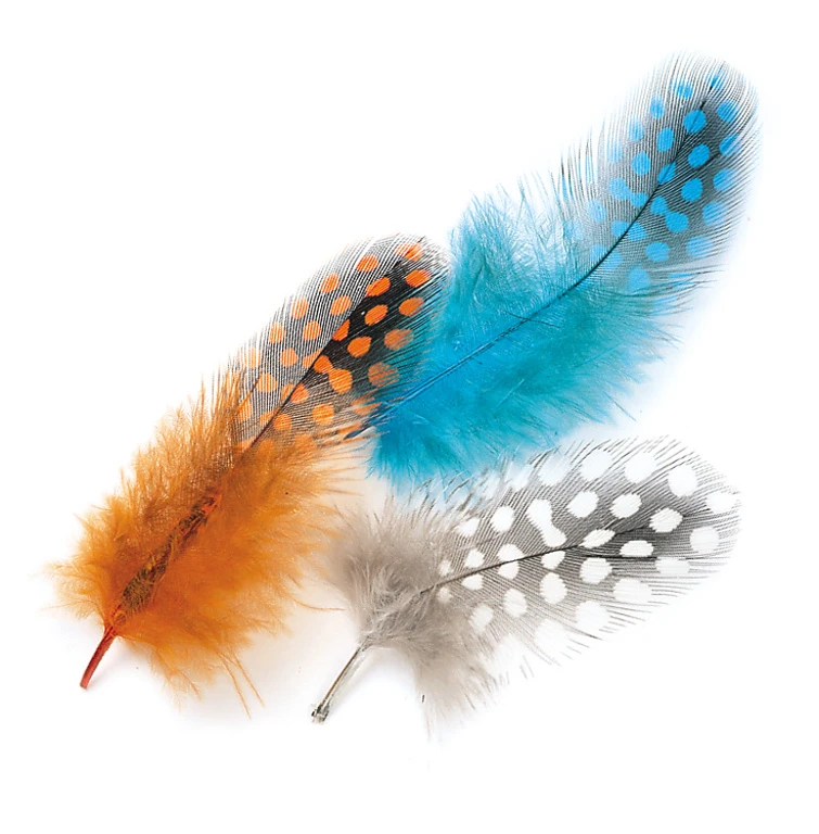 Guinea Fowl Veniard Plumage Mixed Hackles 1 Guinea Fowl Veniard Plumage Mixed Hackles