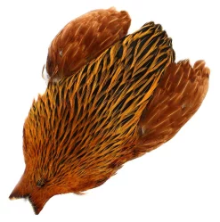 Hen Capes Whiting 4B