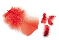 Ibis & Indian Crow Substitute Feathers Veniard