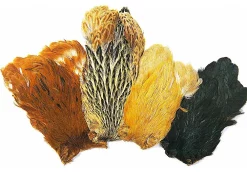 Indian Hen Capes Veniard