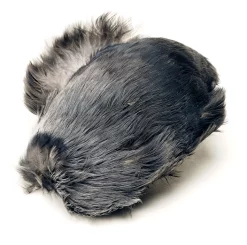 Jackdaw Veniard Whole Grey Scalp