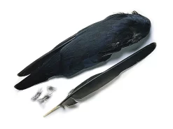 Jackdaw Veniard Whole Wings