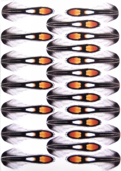 Jiřà KlÃma Jungle Cock Imitation Foil Jiri Klima