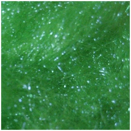 Rabbit Fur Dubbing Hends 168 Rabbit Fur Dubbing Hends - Image 168