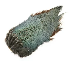 Pheasant Veniard Cock Ringneck Chinese Back Patch