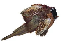 Pheasant Veniard Cock Ringneck Complete Body Skin