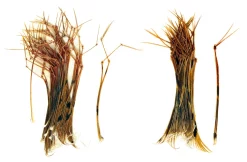 Pheasant Veniard Hopper & Daddy Legs